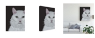 Trademark Global Fab Funky Cat, White Portrait on Dark Grey Canvas Art - 36.5" x 48"